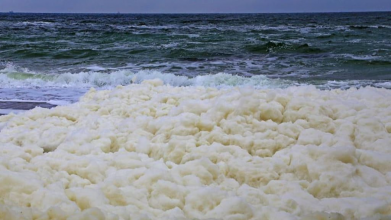 піна на Чорному морі в Одесі