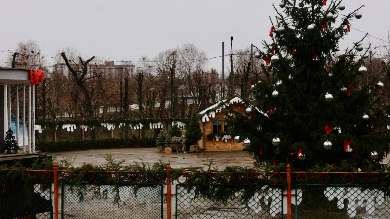 Туман і мжичка у грудні: волинське місто зустрічає зиму в осінньому настрої