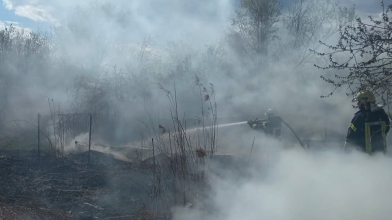 На Волині вигоріло понад 3 гектари через сухостою через людську недбалість