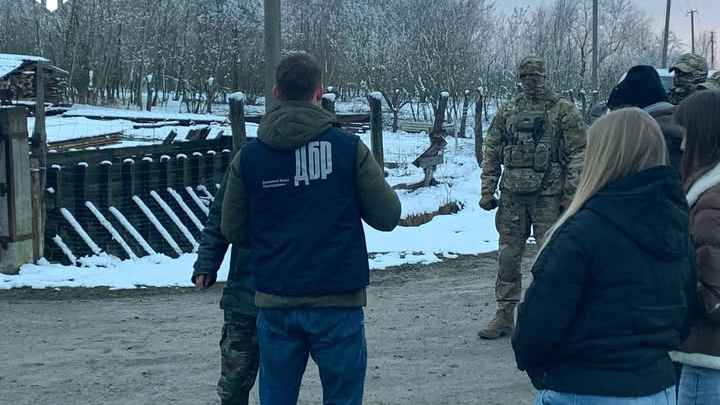 Правоохоронець з Волині разом зі спільниками організував незаконну вирубку лісу в прикордонній зоні