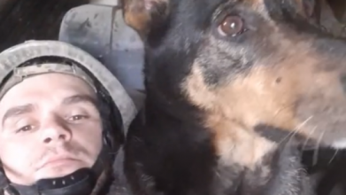 Зворушлива історія: собака врятувала військового з Волині та його побратимів на позиції в Бахмуті