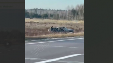 На Волині водійка не впоралася з керуванням і злетіла у кювет. Є потерпілі