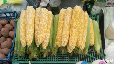 Ціна кукурудза