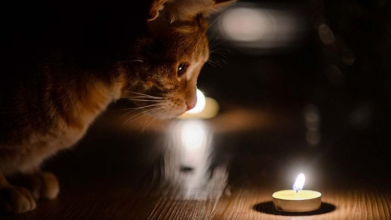 На Волині 27 січня вимикатимуть світло. Графік