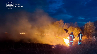 Через людську недбалість на Волині вигоріло близько 6 гектарів сухостою
