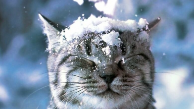 Україну засипле снігом: синоптики попередили про небезпечну погоду