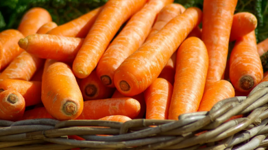 Коли підживляти моркву?