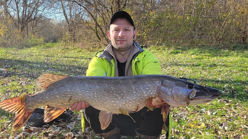 щуку впіймав рибалка у річці Горинь на Рівненщині