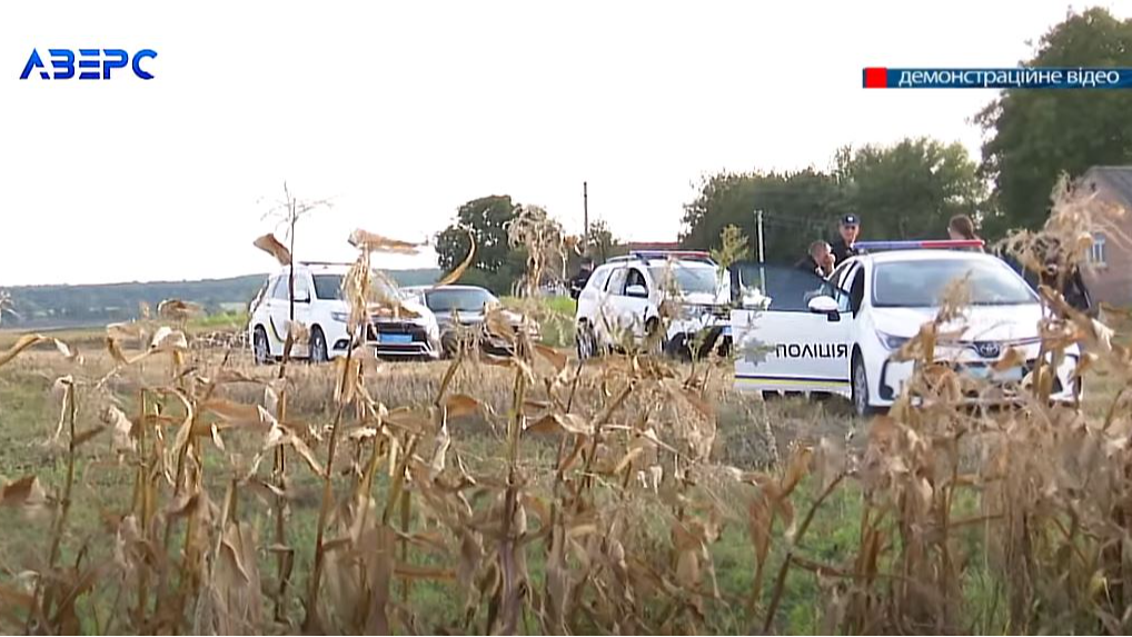 На Волині чоловік сховався в кукурудзі й вдарив поліцейського сокирою