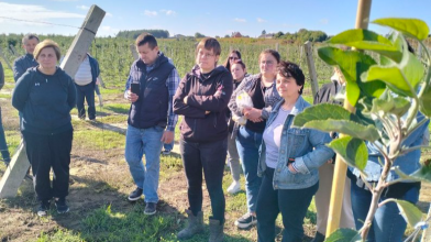 Керувати трактором і розвивати агробізнес: як на Волині навчають ветеранів і переселенців