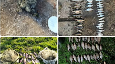 На Волині за рік браконьєри завдали рибному господарству шкоди на 2,6 млн грн