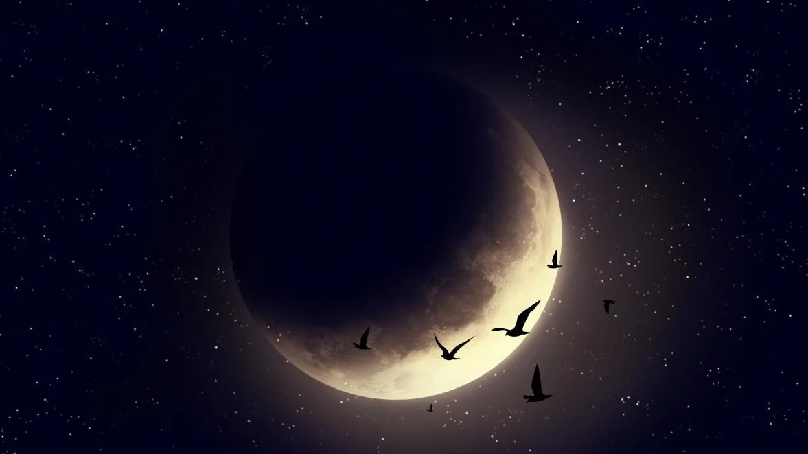 Через кілька днів - Молодик: що категорично не можна робити у новий Місяць