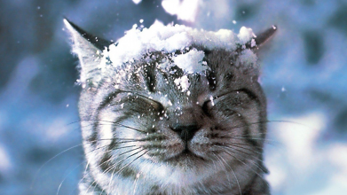 Коли в Україні випаде перший сніг