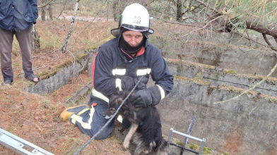 На Волині рятувальники дістали собаку з 5-метрової ями