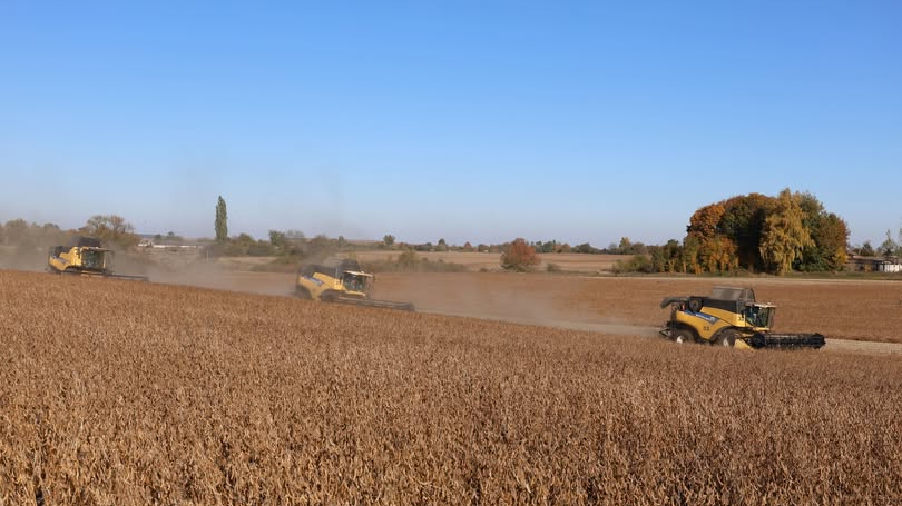 На Волині завершують збір зернових - який урожай