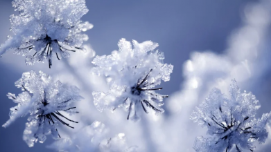 Тріскучі морози повертаються: коли в Україні очікувати аномальні -24°C