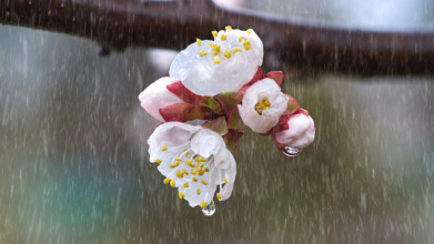 прогноз погоди в Україні на 4-5 квітня