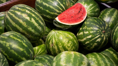 найкращі сорти кавунів