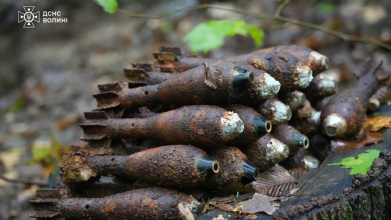 На Волині виявили майже сотню боєприпасів часів Другої світової війни