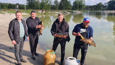 В озеро Молодіжне у Ківерцях запустили 80 кг дорослого коропа