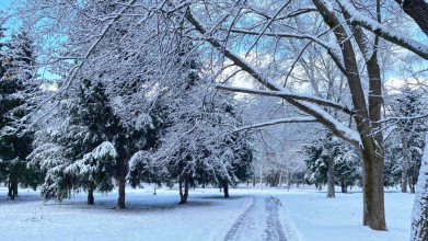 прогноз погоди, зима в україні