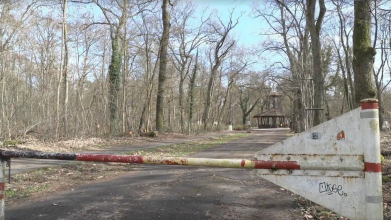 Вбивство українки у лісі Кеферталь