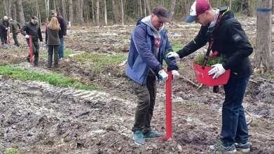 Понад гектар лісу на Волині висадили на честь загиблого воїна-лісівника Богдана Костючика