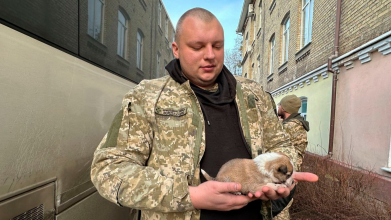 Волинський прикордонник врятував цуценя