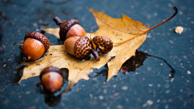 погода в Україні 4 листопада