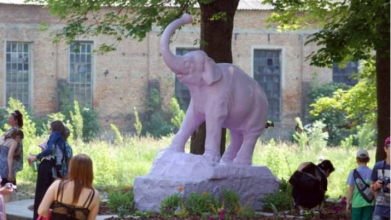 Луцького «кольорового» слоника пропонують зробити символом міста