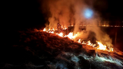 На Волині спіймали на гарячому палійку сухостою
