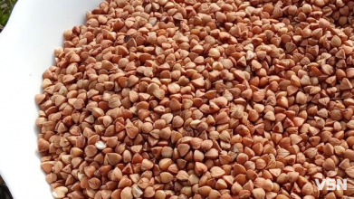 Чому на Волині зростає ціна на гречку та чи варто робити запаси?