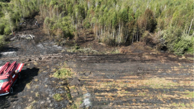 7 пожеж та 11 штрафів: на Волині масово карають паліїв сухостою