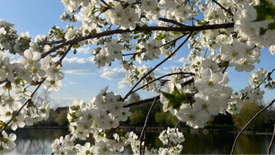 погода в Україні, прогноз погоди