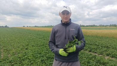 Обробляє 50 гектарів землі та розвиває родинне господарство: історія 29-річного фермера з Волині
