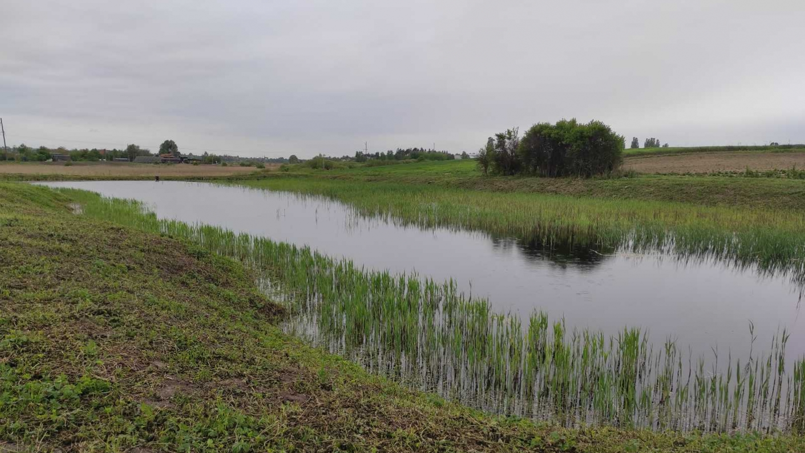 Біля Луцька на півстоліття здають в оренду землю зі ставками