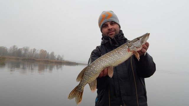 Як зловити трофейну щуку у листопаді та у які дні за місячним календарем йти на риболовлю