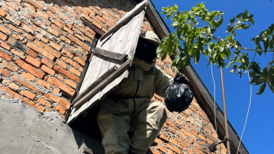 На Волині людей рятують від смертельно небезпечних комах