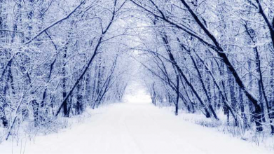 погода у грудні 2025