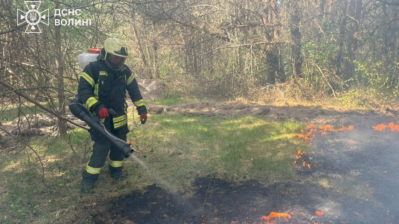 Через недопалок — пожежа: на Волині вигоріло 1,3 га лісу