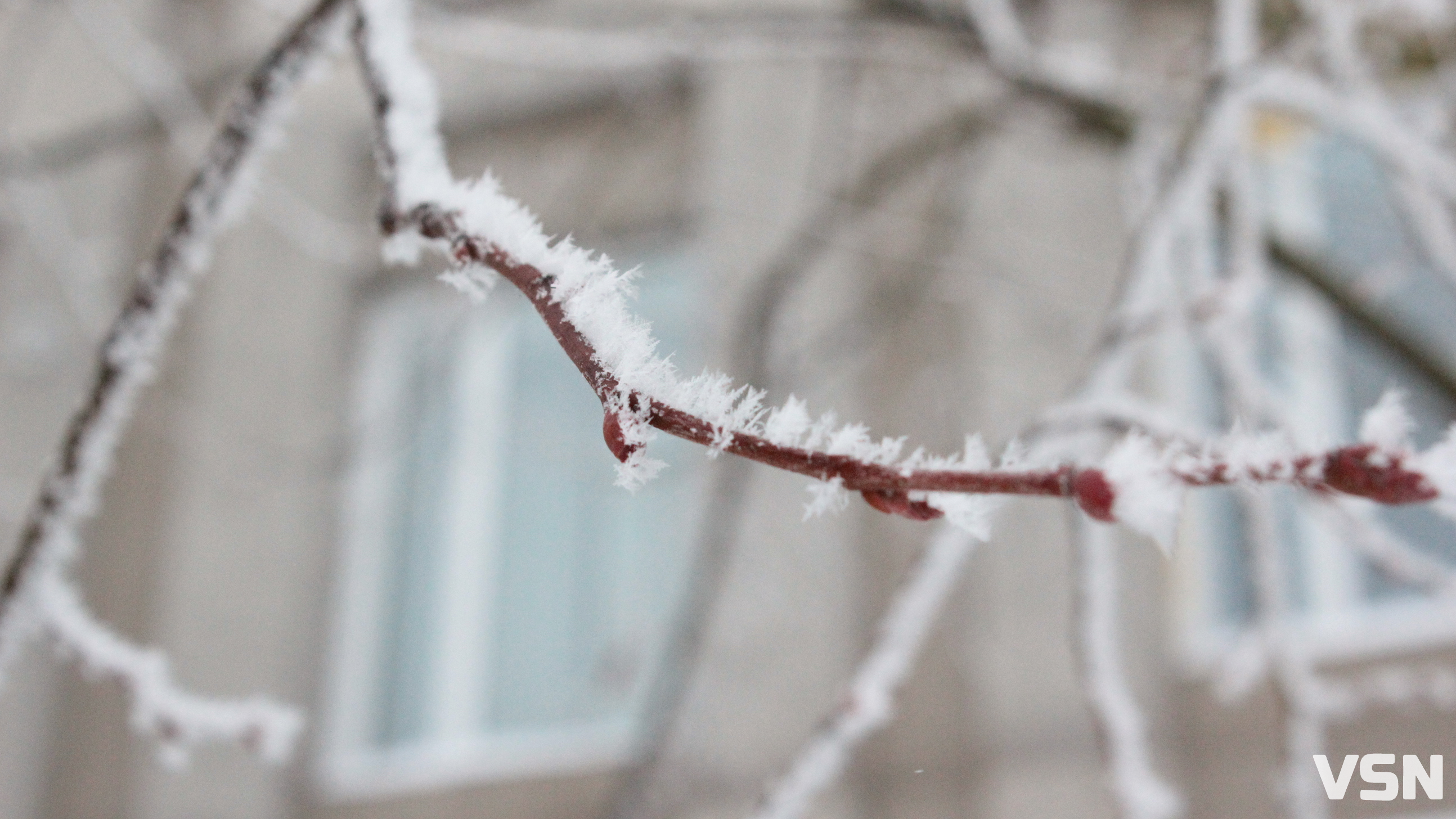 Ожеледиця та до 23 градусів морозу: якою буде погода на Волині 17 та 18 грудня?
