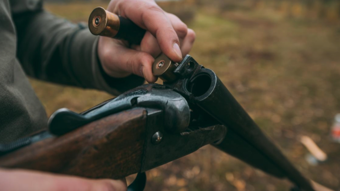 На Волині судили чоловіка, який вбив собаку