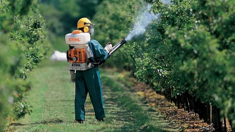 Не пропустіть перше оприскування: коли та чим обробити абрикос та персик від моніліозу навесні