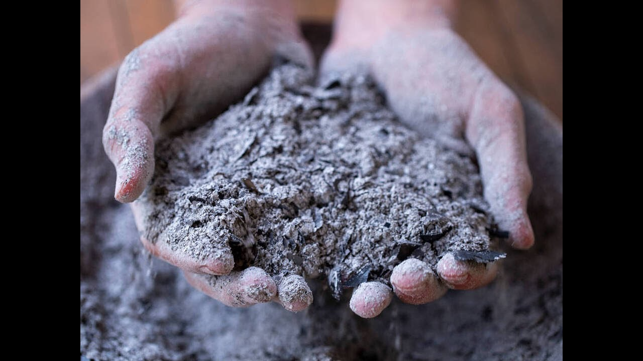 Обов’язково треба його розсипати під деревами: урожай саду буде гарним
