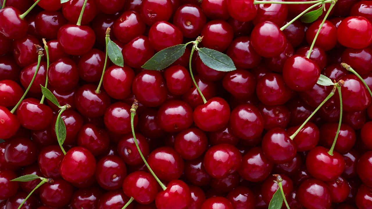 Вишня буде солодкою як мед: посипте під деревом це добриво