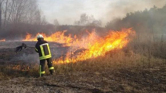 Палили траву і побили лісника, який хотів їх затримати: як покарали двох волинян