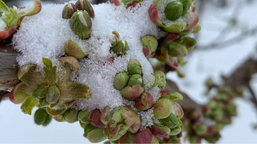 Холод відступить: коли в Україну прийде потепління