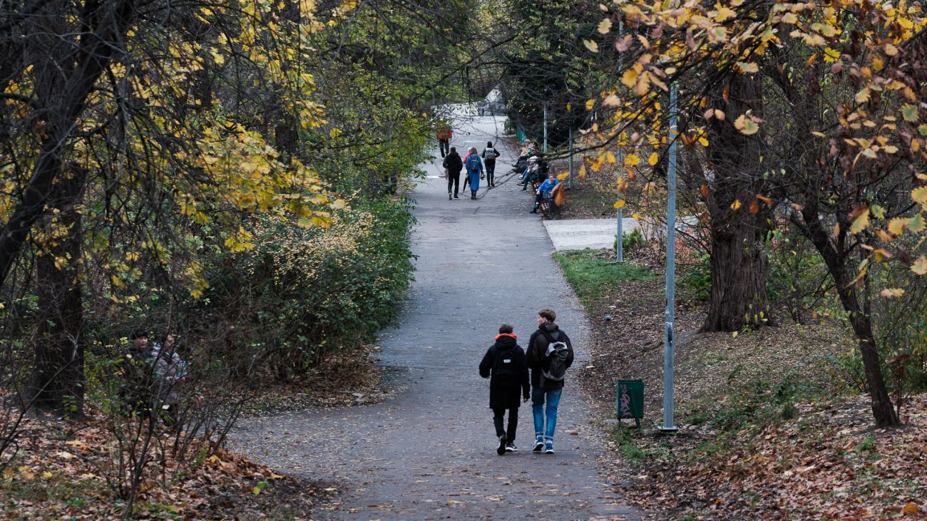 Заморозки та дощі на підході: яка погода в Україні буде у середині жовтня