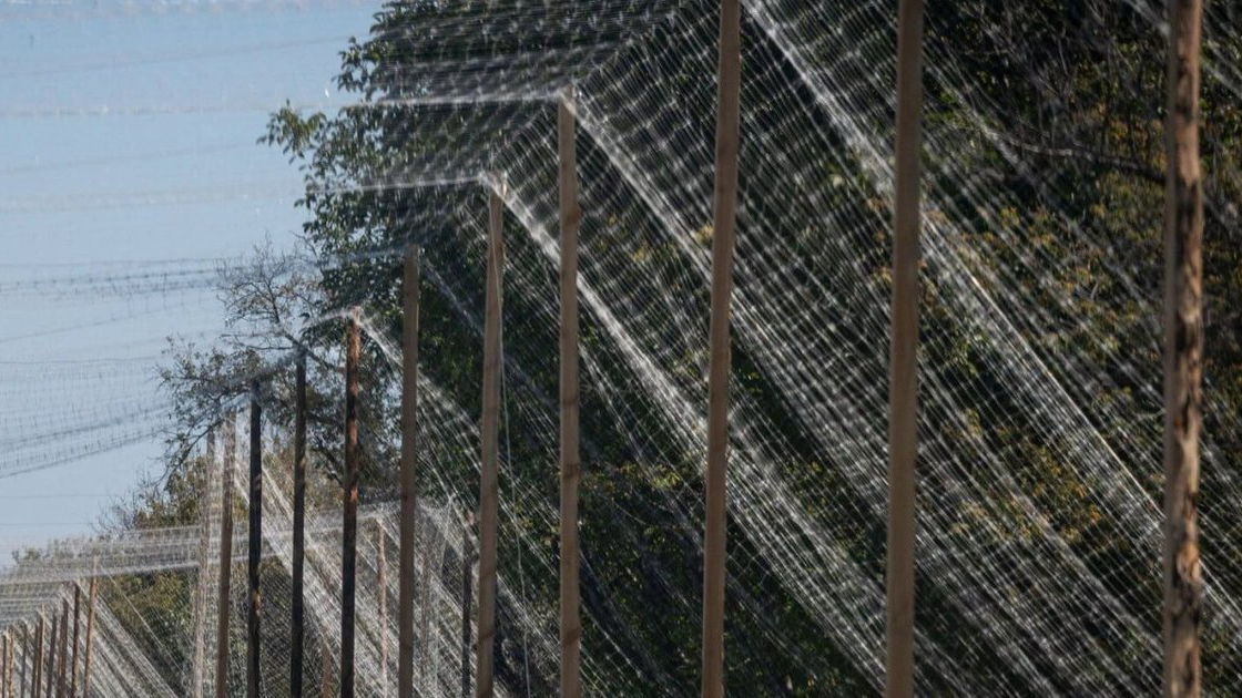 На Волині біля доріг у прикордонних з Білоруссю громадах встановлюють антидронові сітки