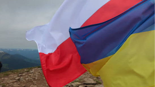 Рішення про УПА розлютило Польщу: пакет зі зброєю для України на паузі — ЗМІ